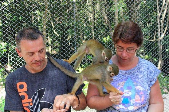 Akumal Monkey Sanctuary
